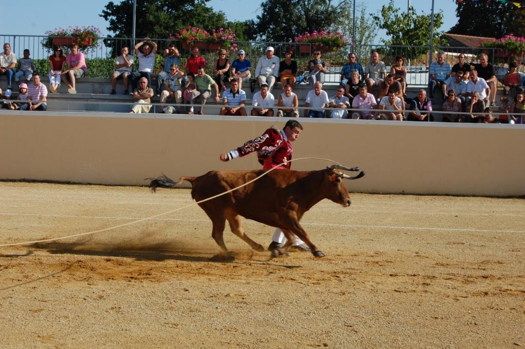 Arènes, Sarraziet - photo 5