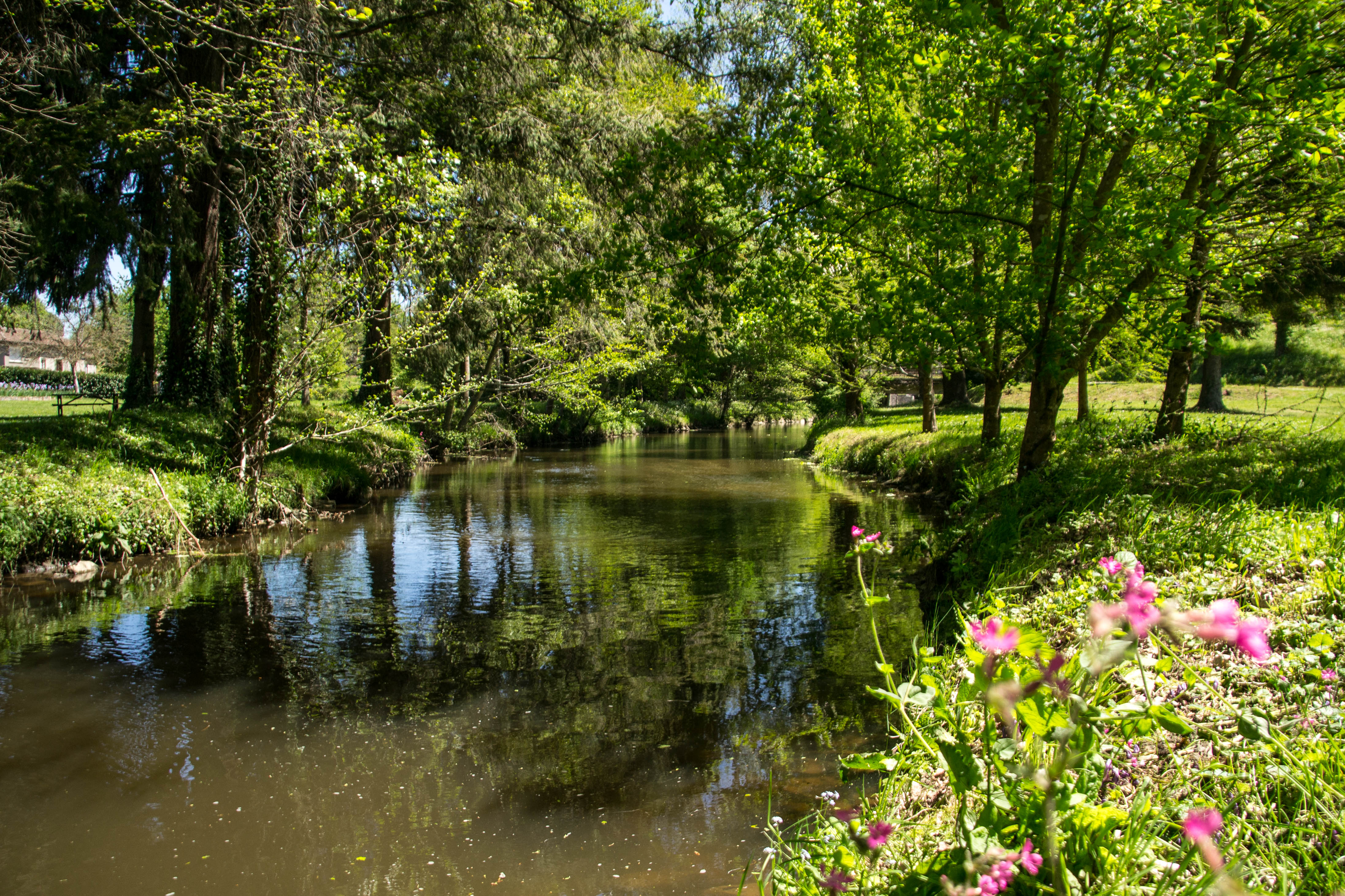 Aire de pique-nique du parc d'Arliquet — photo 3