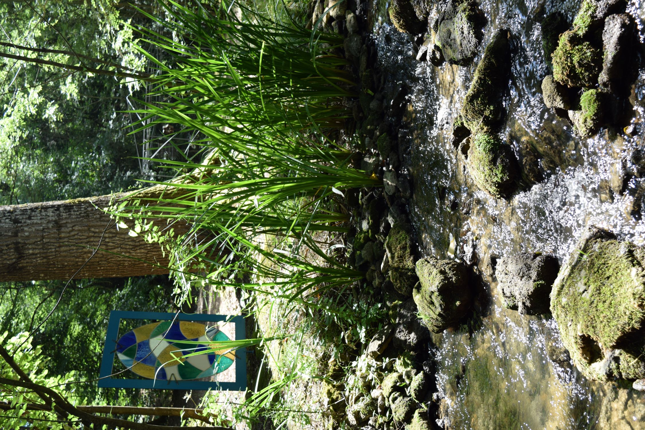 A Fleur d'eau, Cherveux - photo 7