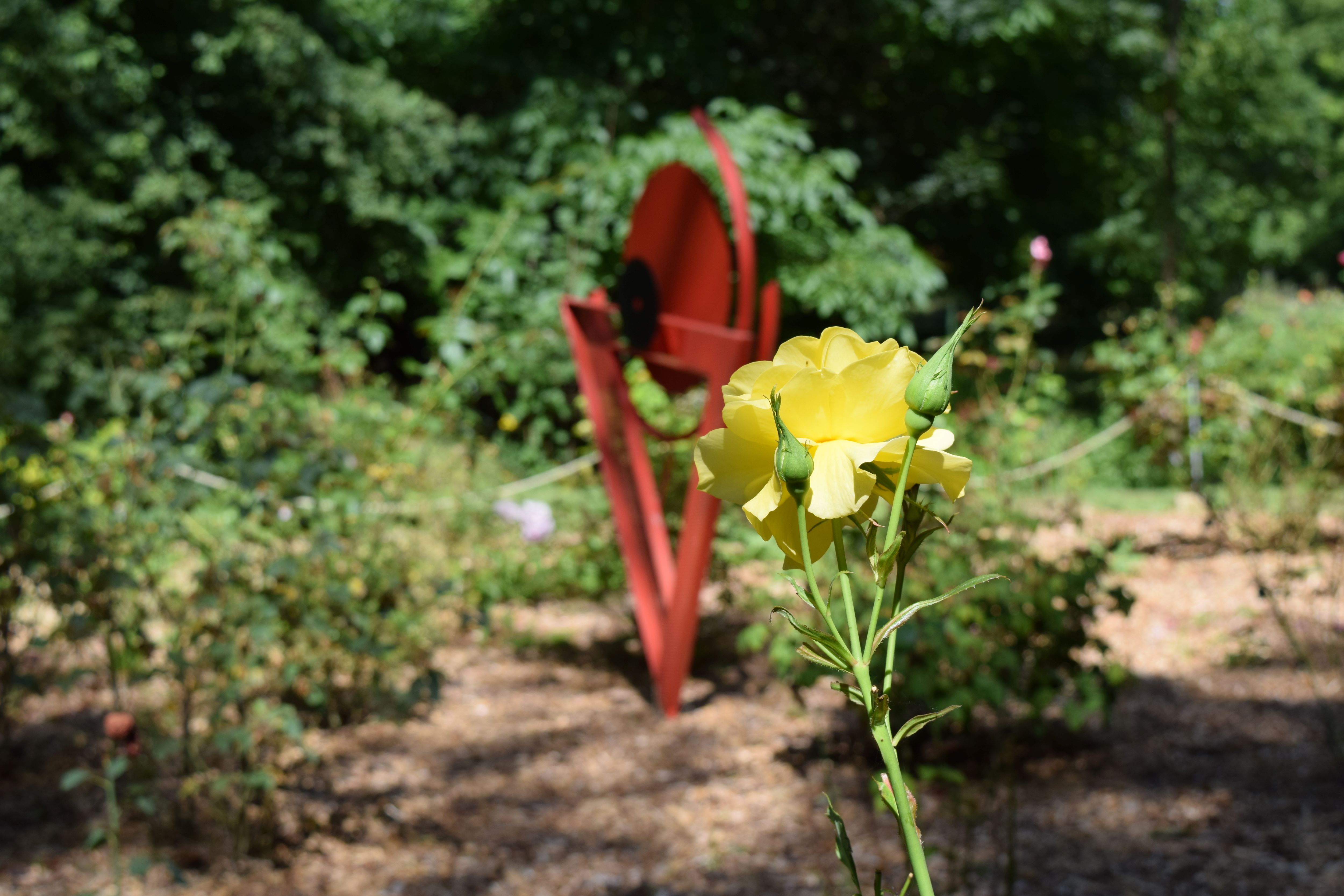 A Fleur d'eau, Cherveux