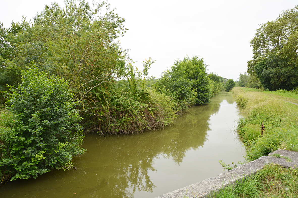 La Boucle du Marais - photo 2