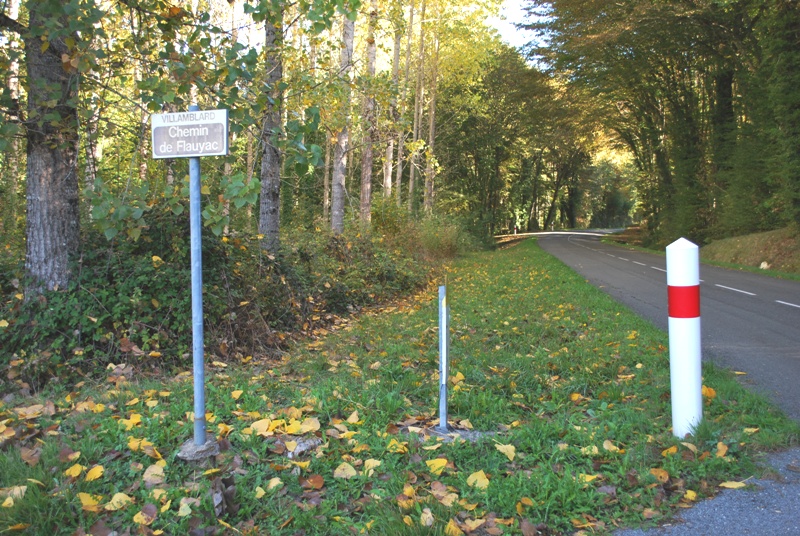 Tir à l'Arc Les Elfes