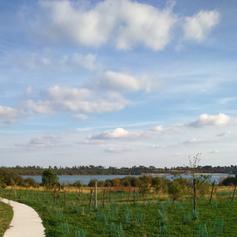 Maison de site d'Arjuzanx, Morcenx-la-Nouvelle - photo 3