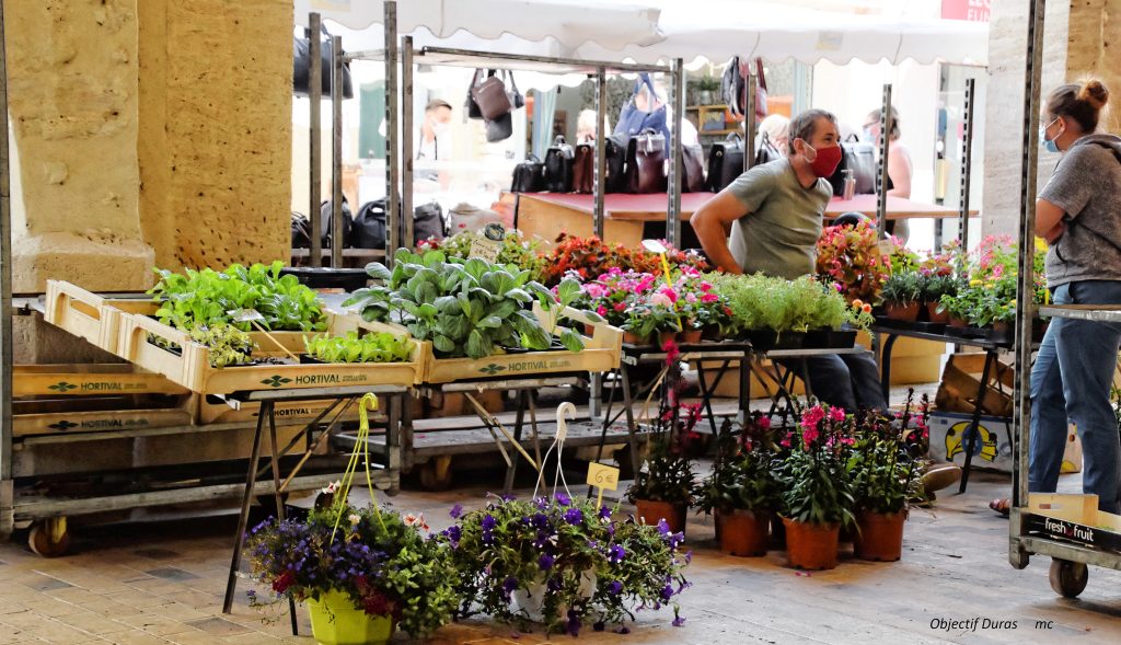 Marché traditionnel, Duras - photo 20
