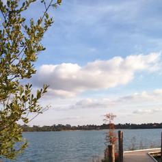 Maison de site d'Arjuzanx, Morcenx-la-Nouvelle - photo 2