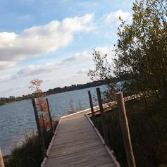 Maison de site d'Arjuzanx, Morcenx-la-Nouvelle