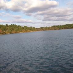 Maison de site d'Arjuzanx, Morcenx-la-Nouvelle - photo 12