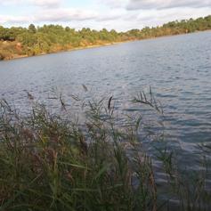 Maison de site d'Arjuzanx, Morcenx-la-Nouvelle - photo 20