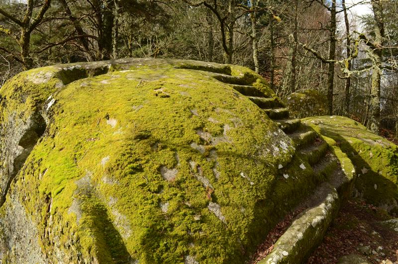 La Pierre aux Neuf Gradins, Soubrebost - photo 3