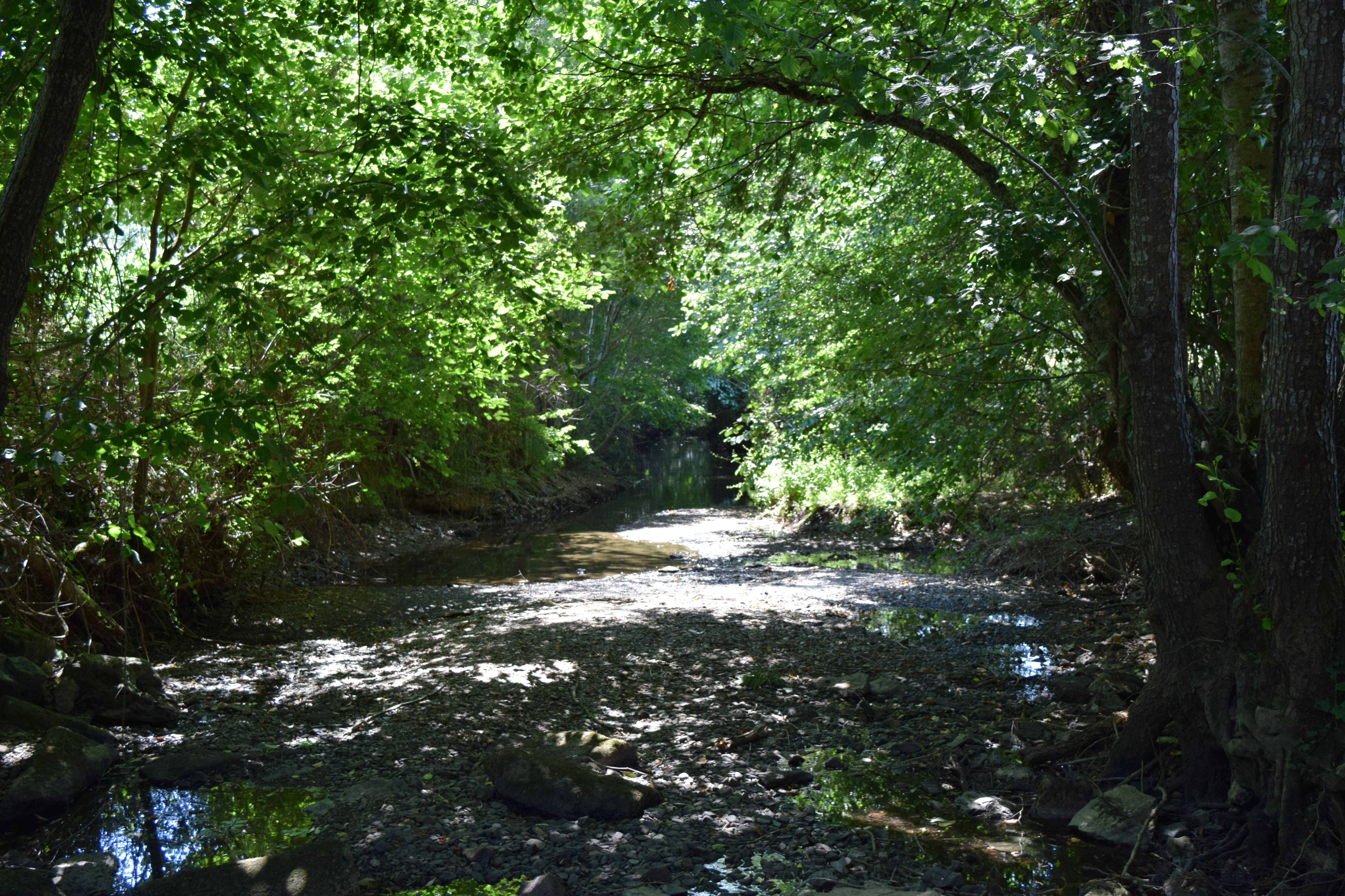 Le Chambon et la Ligueure, Augé