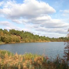 Maison de site d'Arjuzanx, Morcenx-la-Nouvelle - photo 4