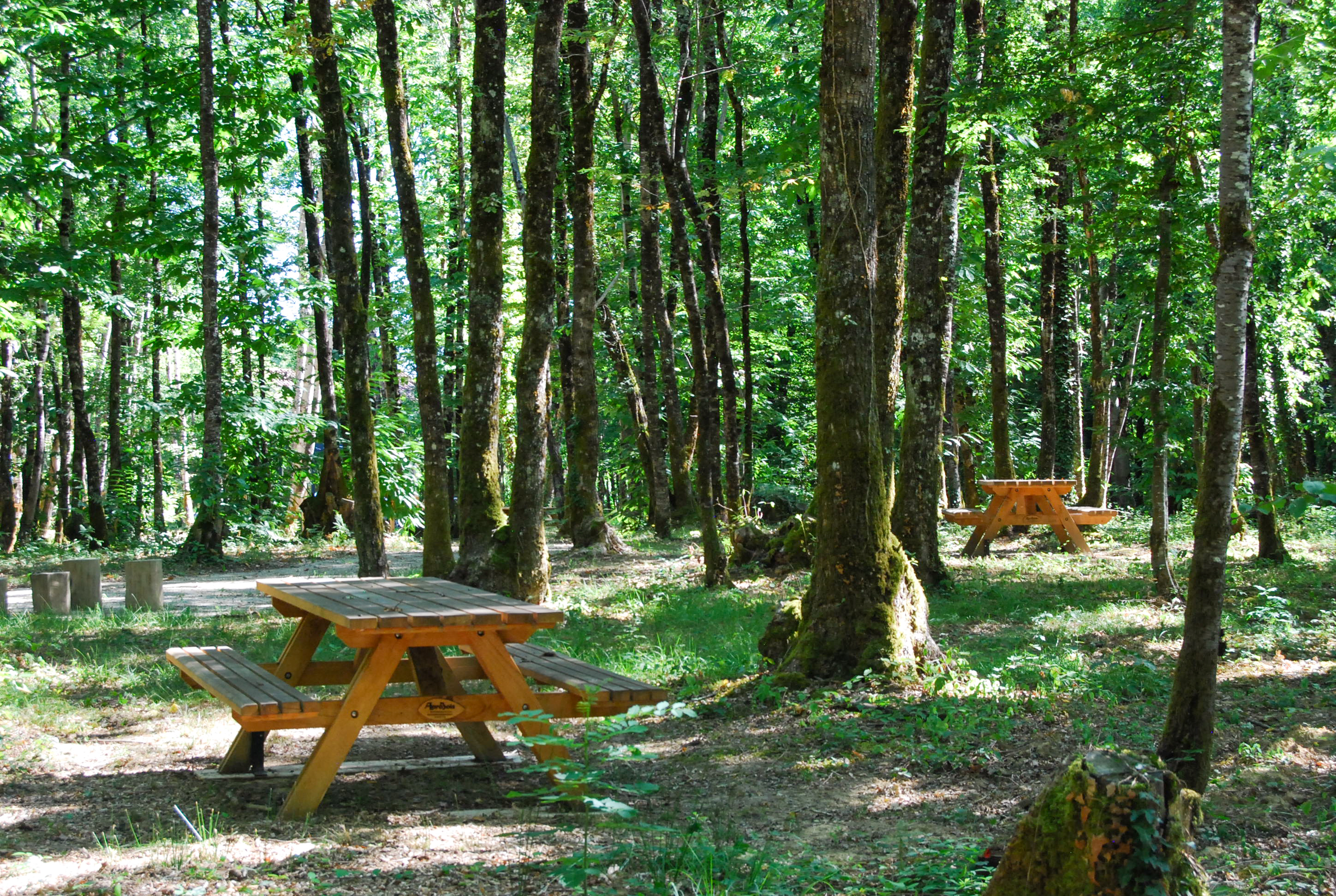 Aire de pique-nique de Bos Foulu