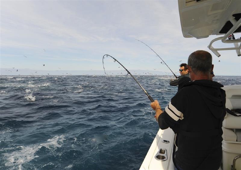 OTF : Obsession Tuna Fishing Pierre Pomme