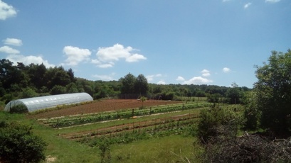 Les jardins de Boscornut - photo 5