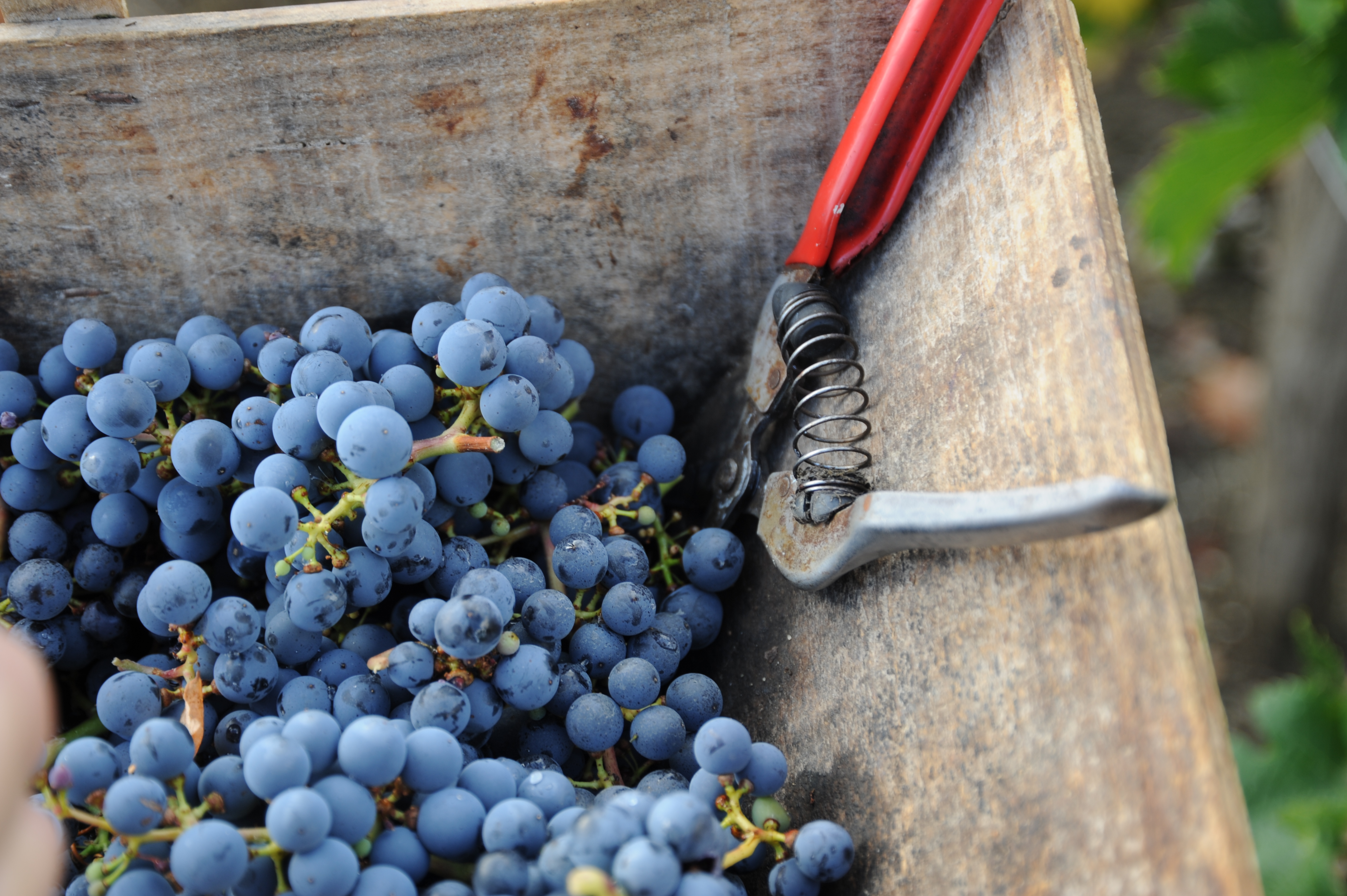 Château de la Croix - photo 4