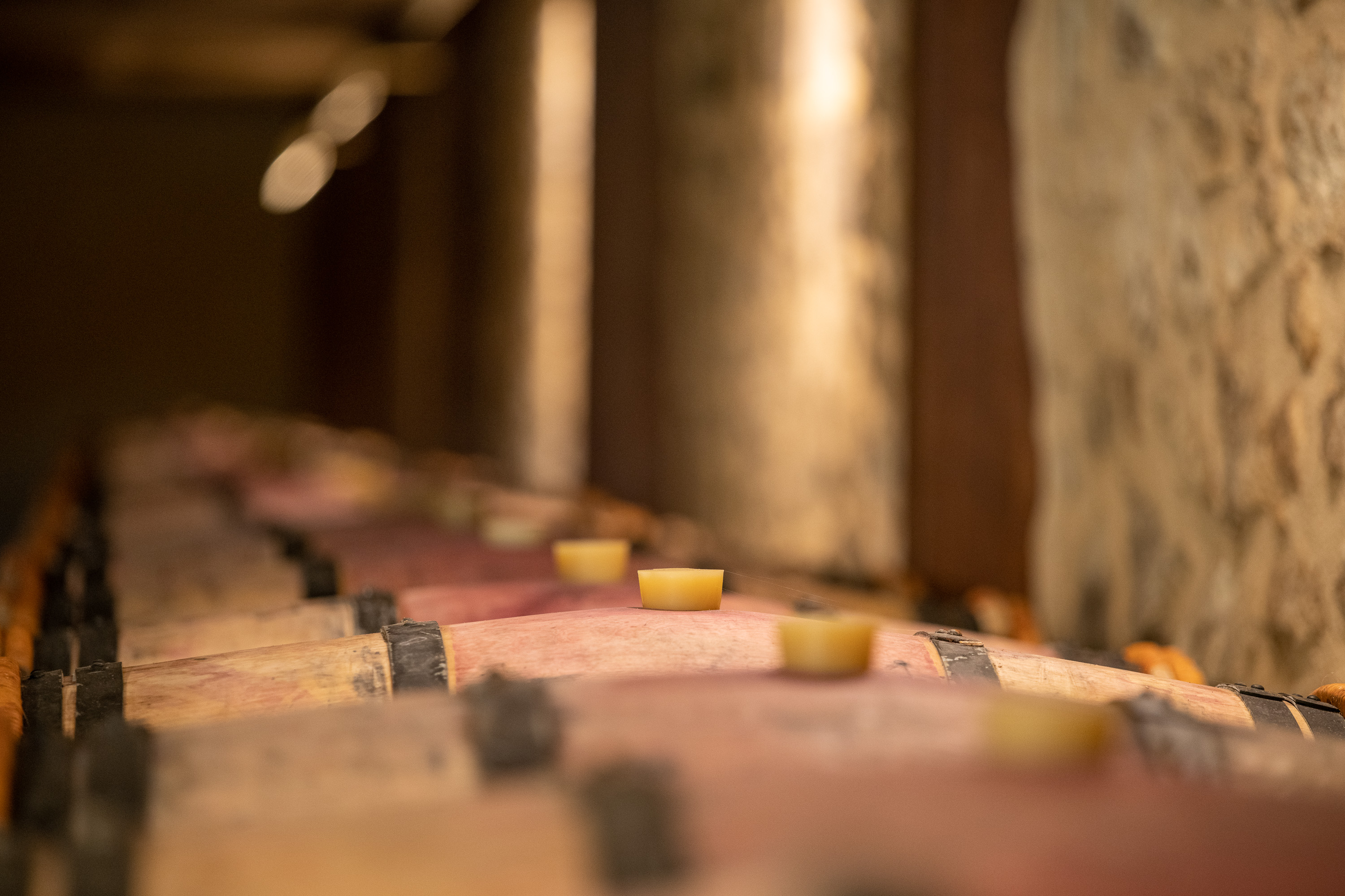 Château Noaillac - photo 4