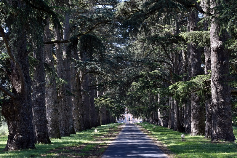 Château Saint-Marcel, Boé - photo 4