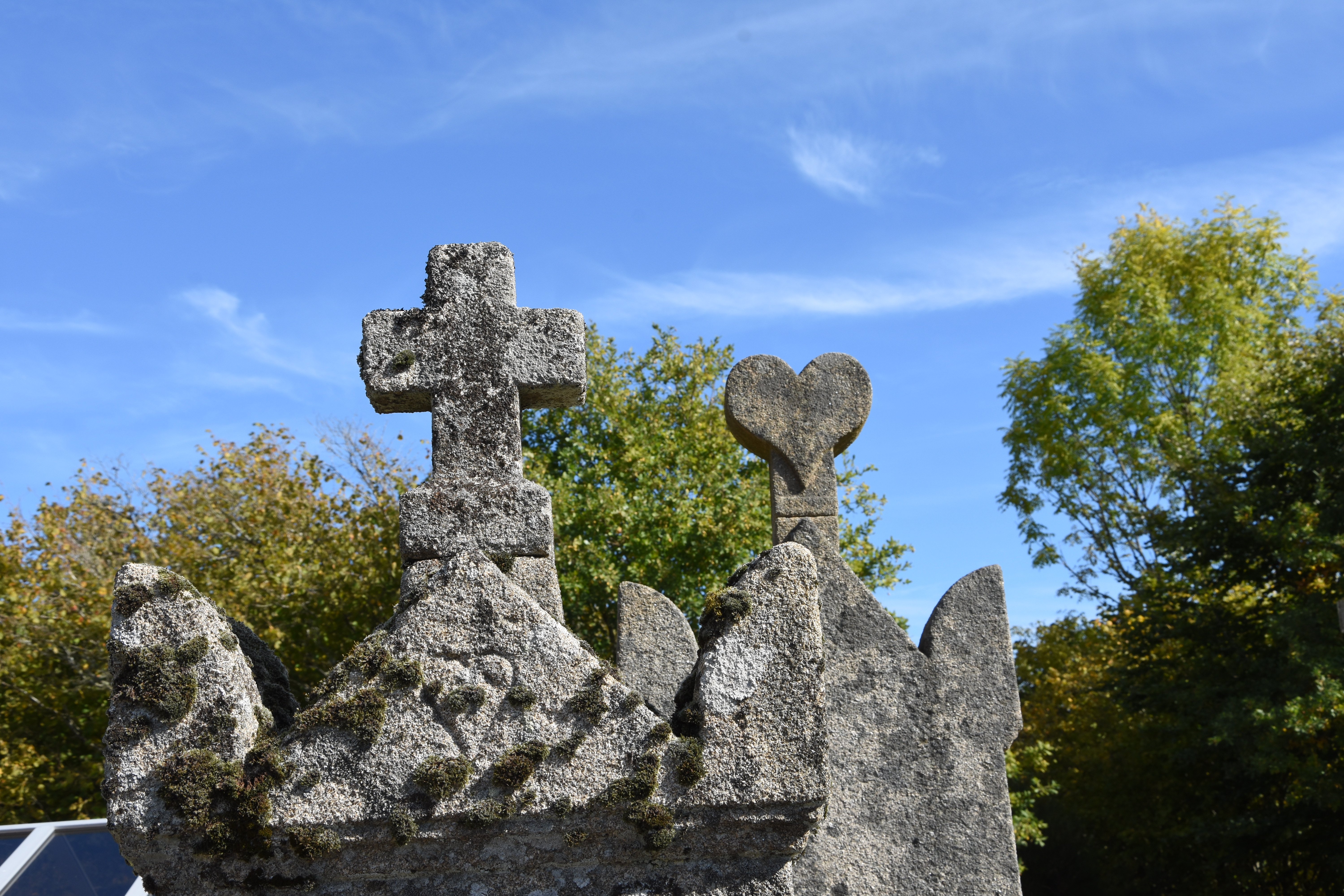 Dans les allées du cimetière — visuel événement