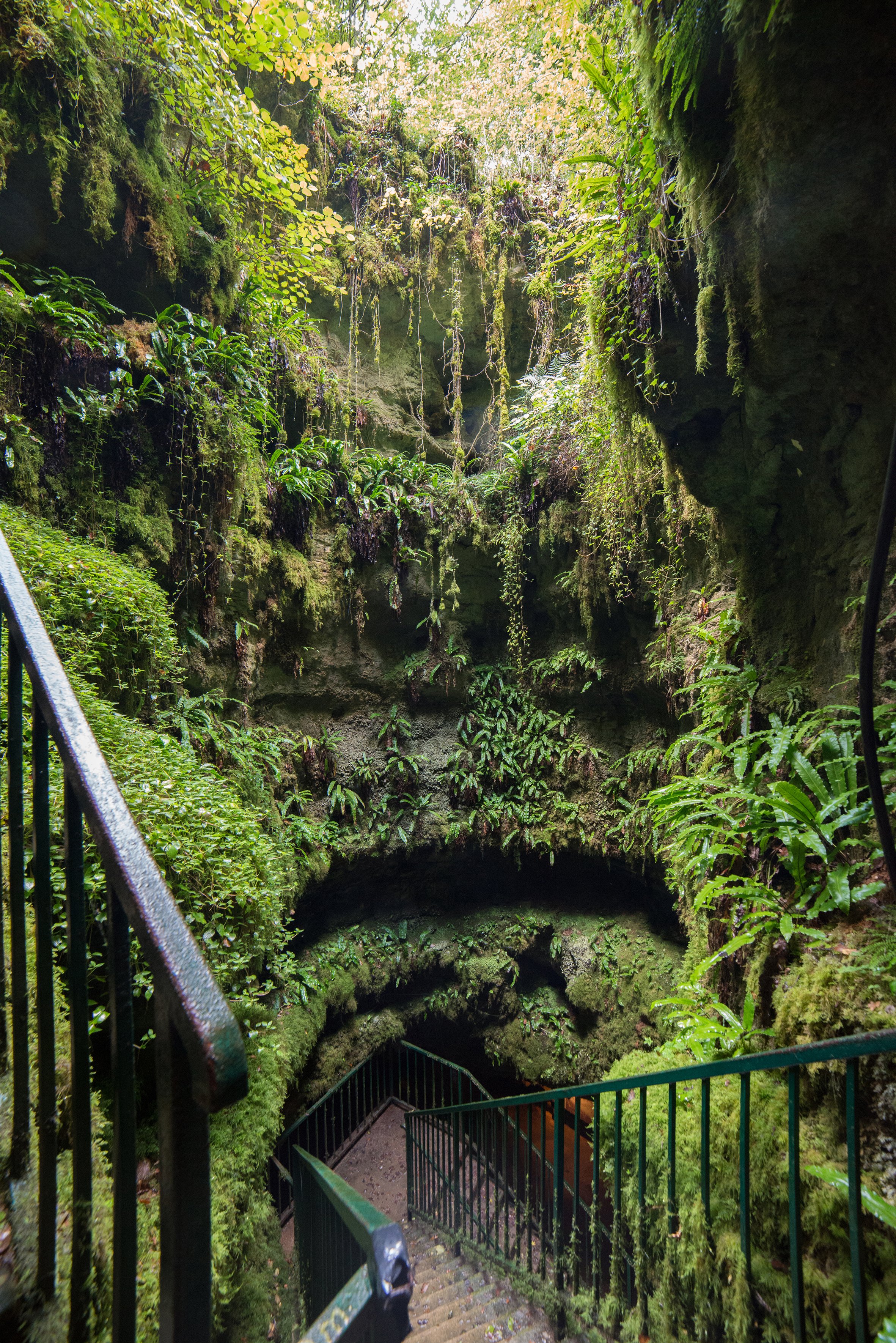 Gouffre de la Fage, Noailles - photo 12