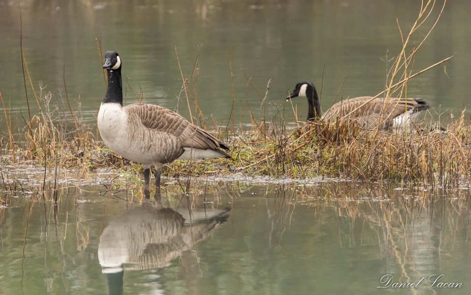 Boucle du Lac - Bergerac - photo 2