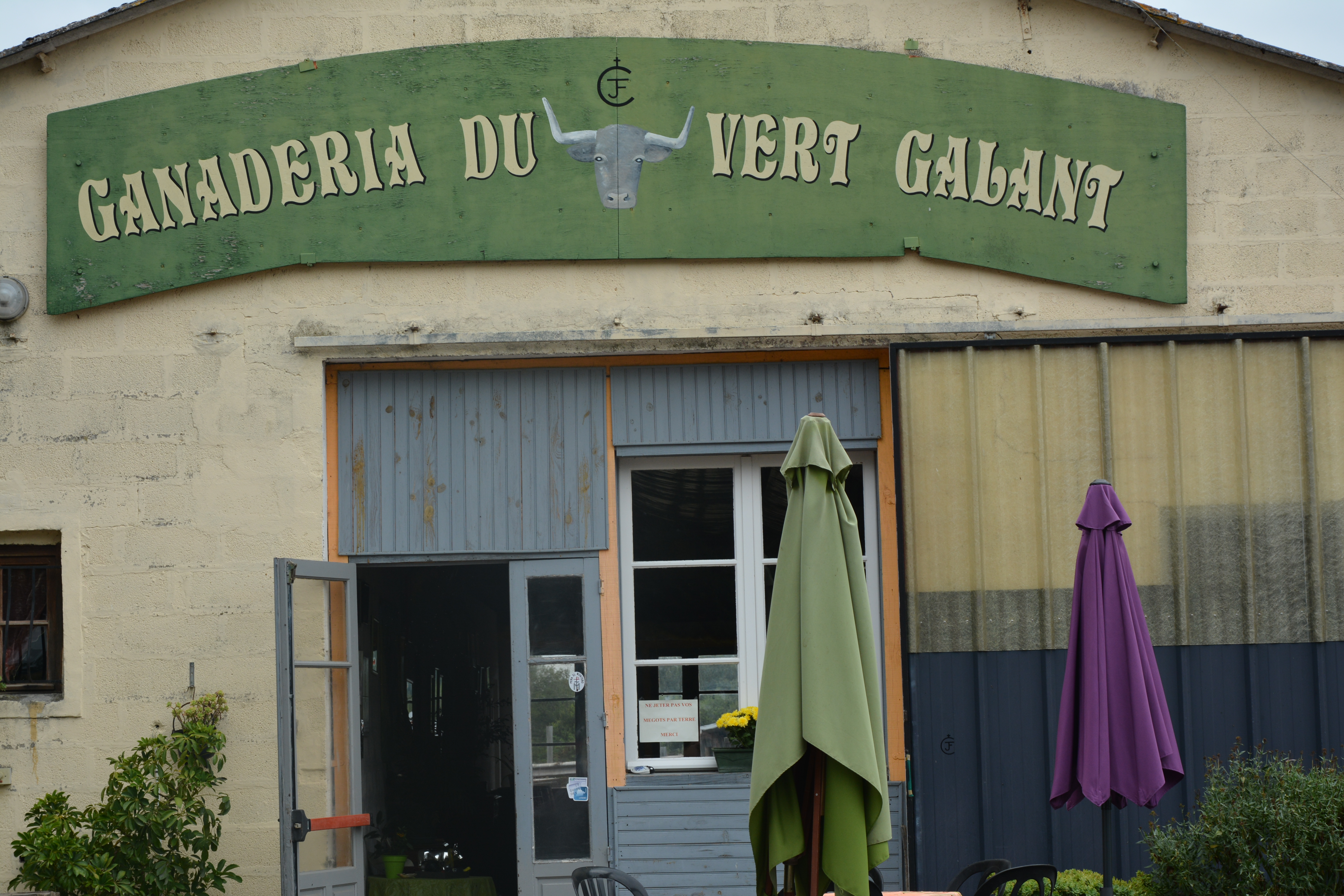 La ganaderia du Vert Galant