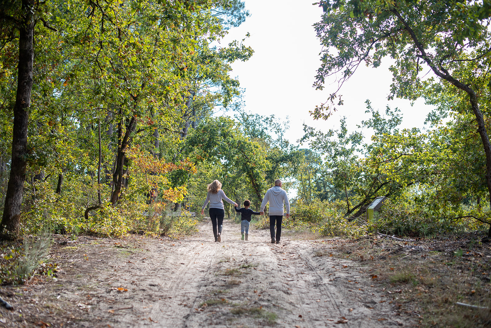 Etang de Langouarde, Le Porge