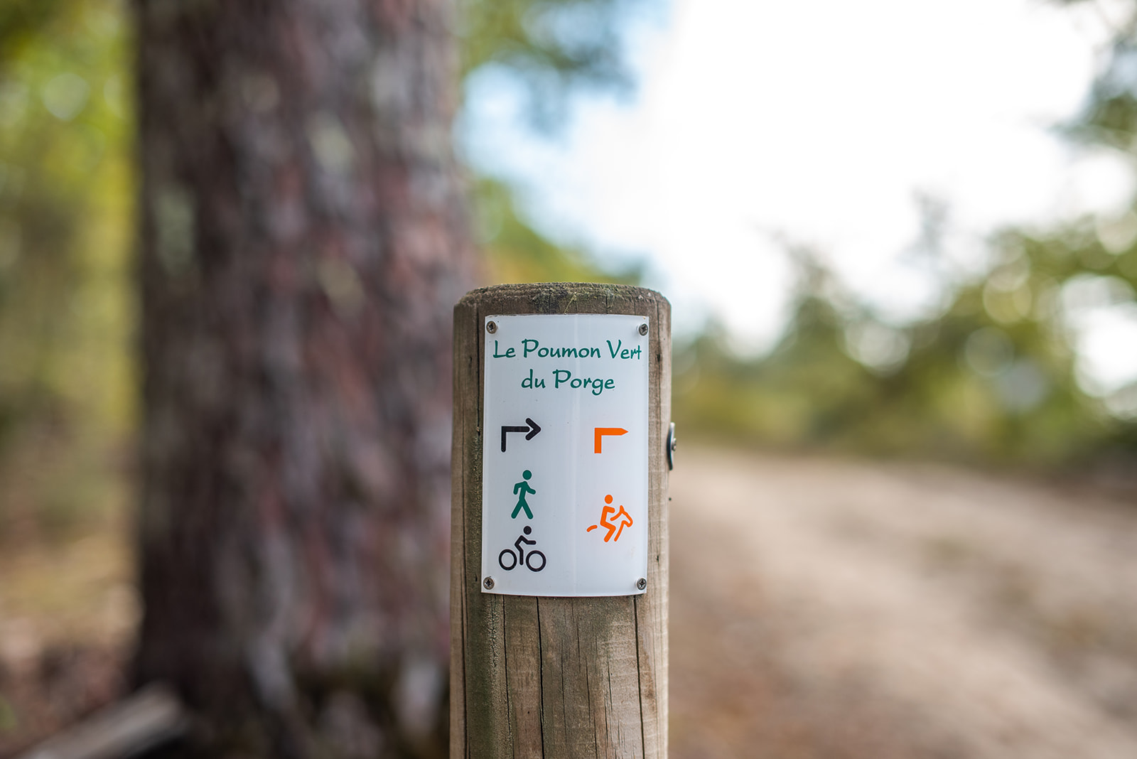 Le Poumon Vert, Le Porge - photo 10