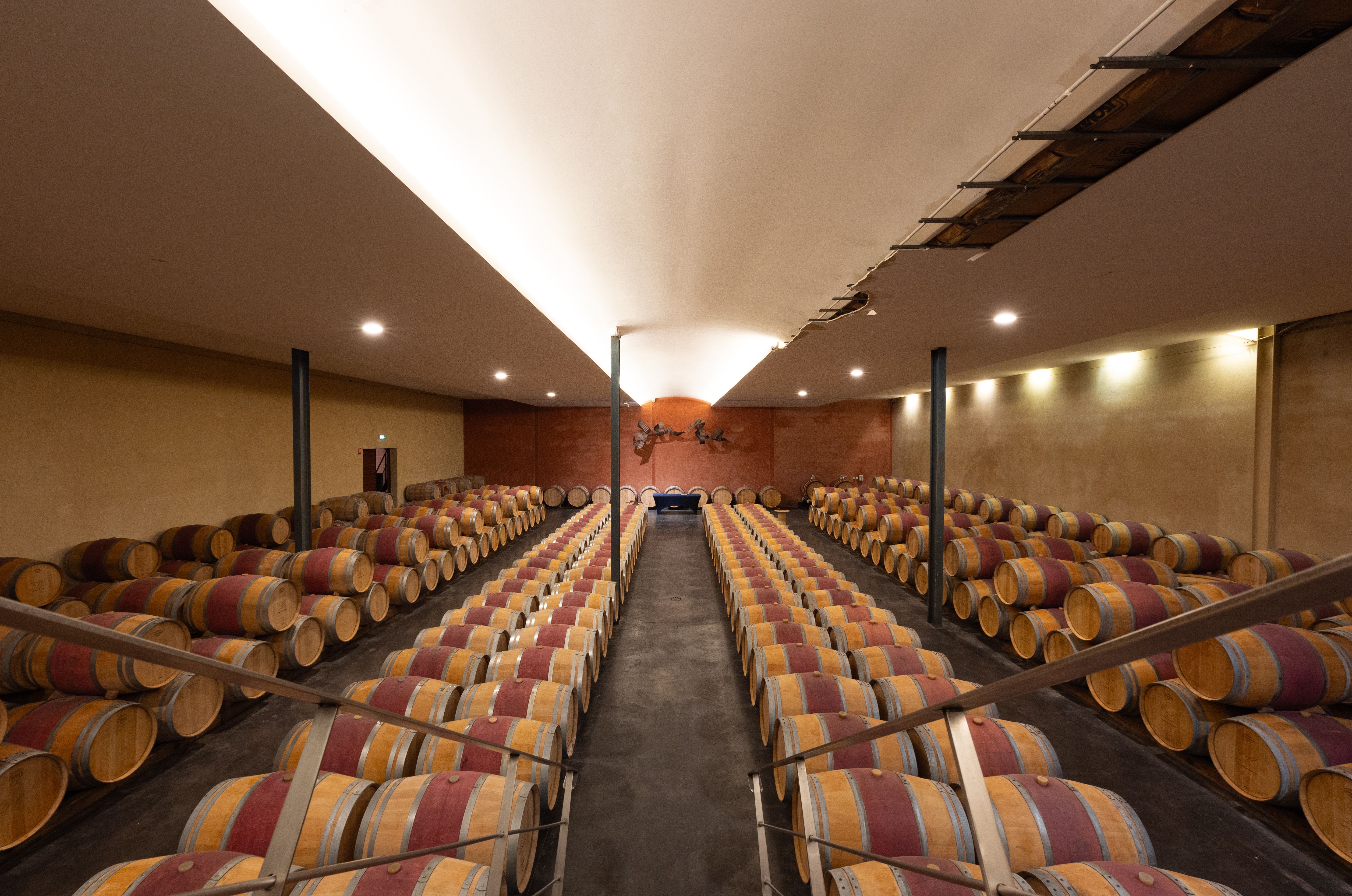 Château Paloumey - photo 5