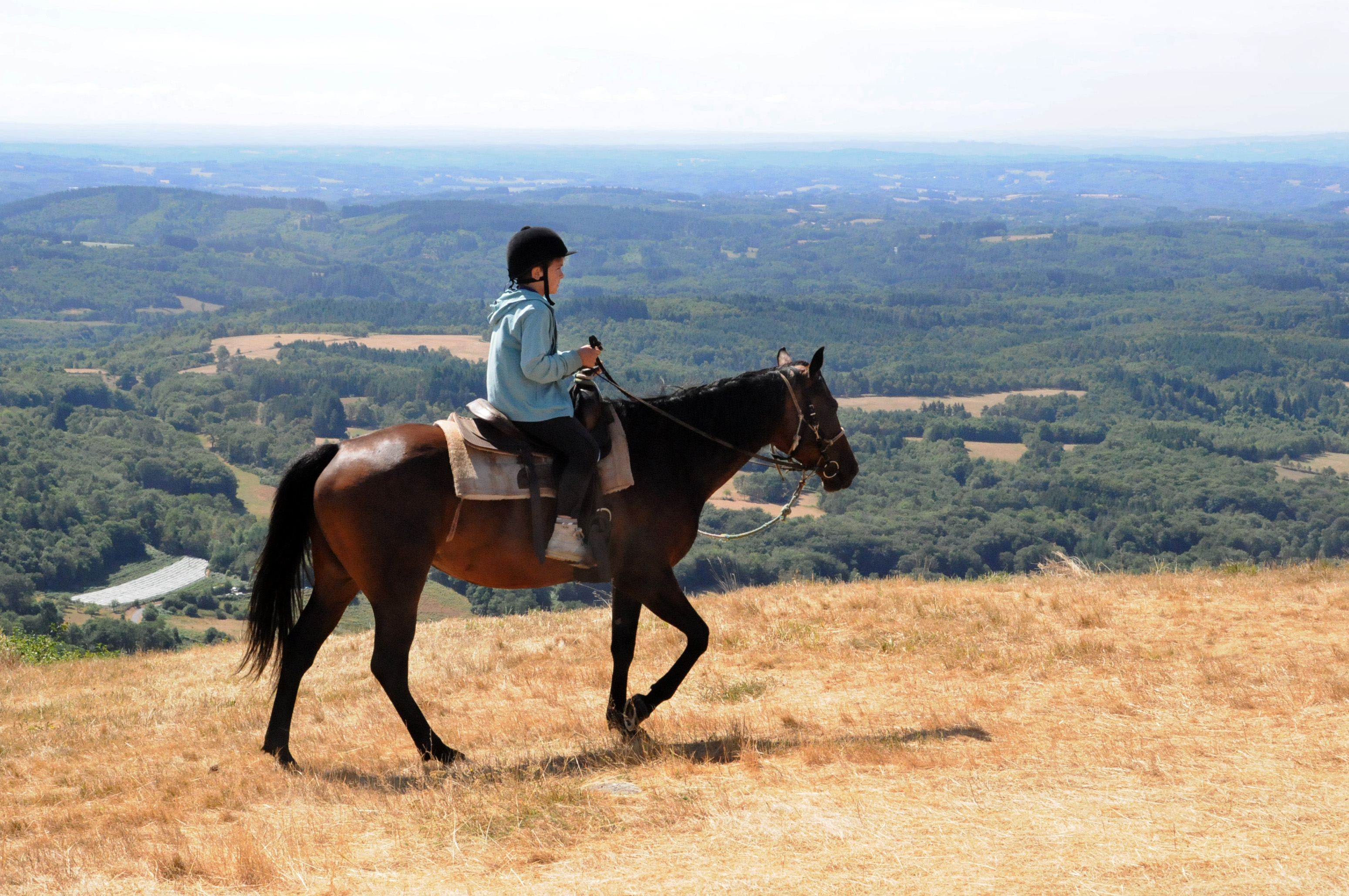 Itinéraire équestre : le massif des Monédières et le plateau de Millevaches, Treignac