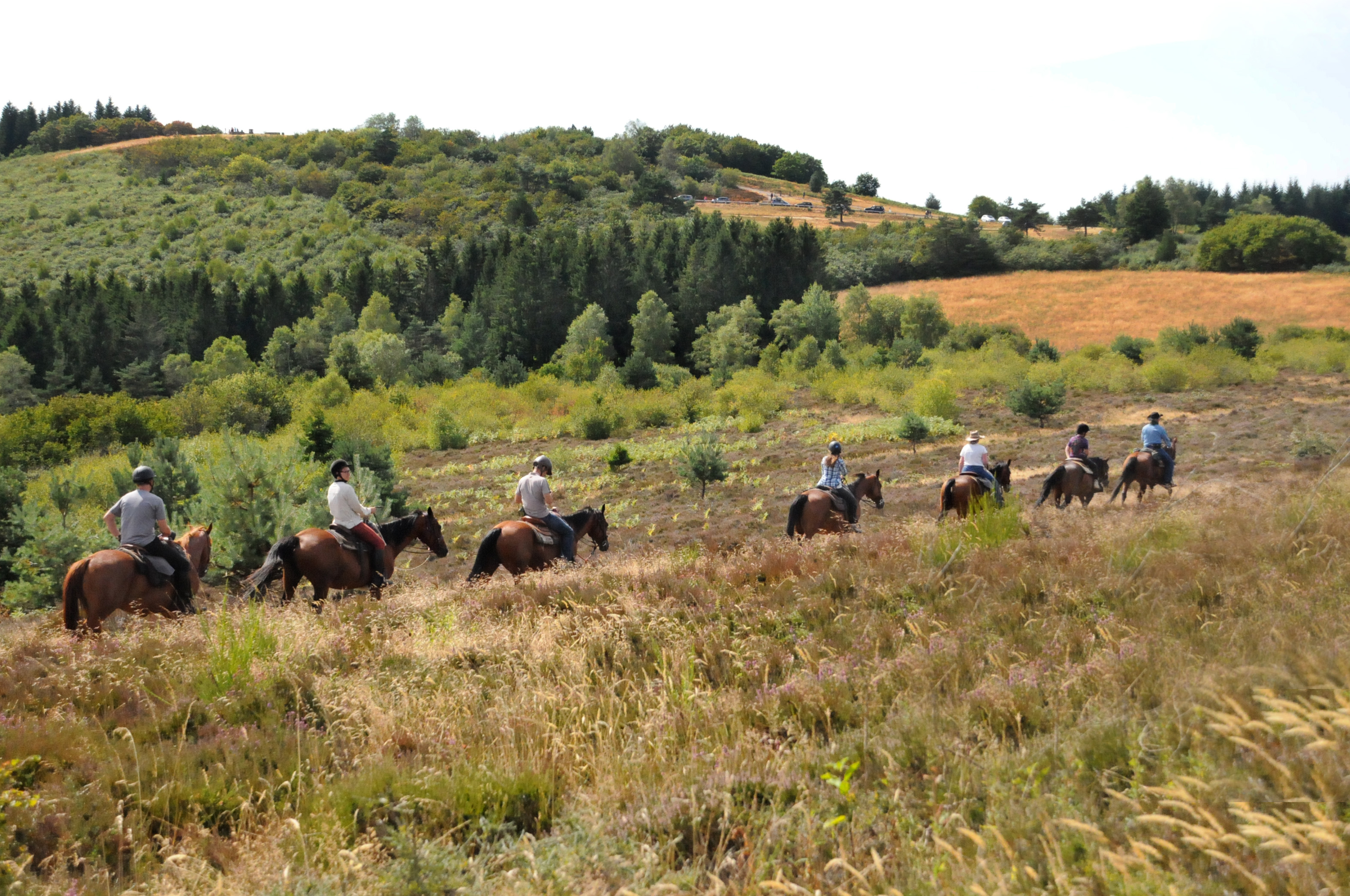Itinéraire équestre : le massif des Monédières et le plateau de Millevaches, Treignac - photo 4
