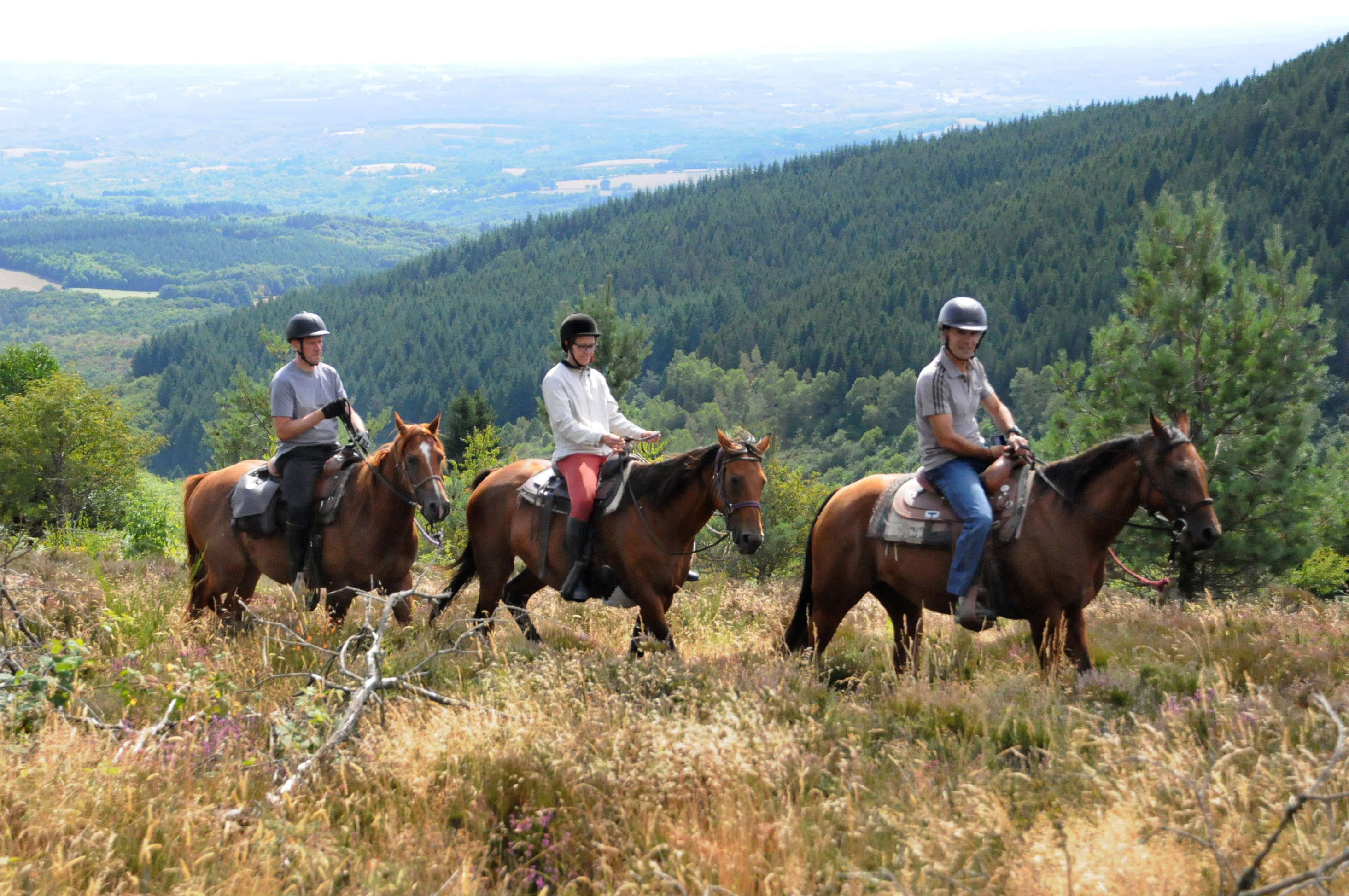 Itinéraire équestre : le massif des Monédières et le plateau de Millevaches, Treignac - photo 11