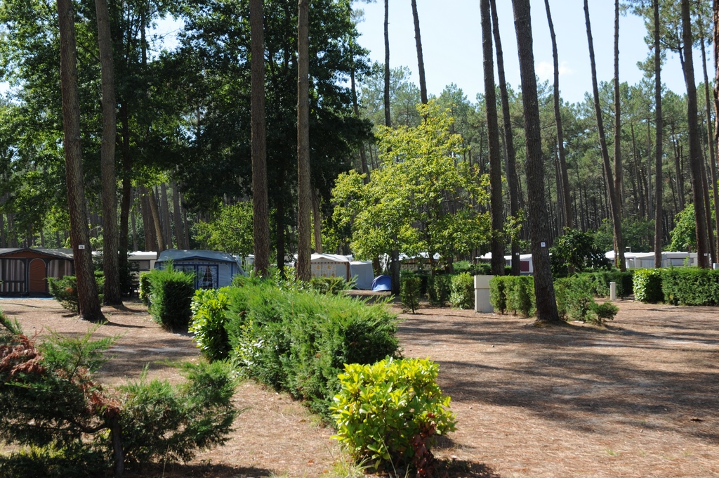 Camping municipal le Tatiou - photo 5