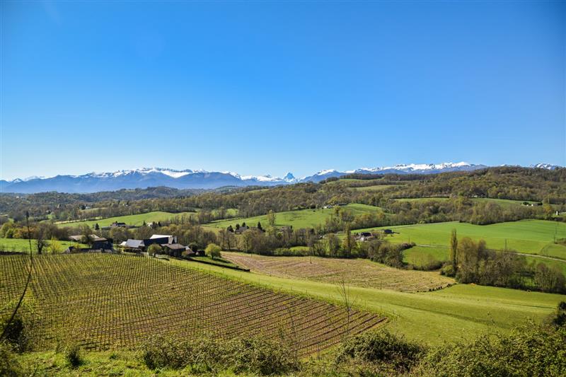 Gan - Coteau de Bastarrous