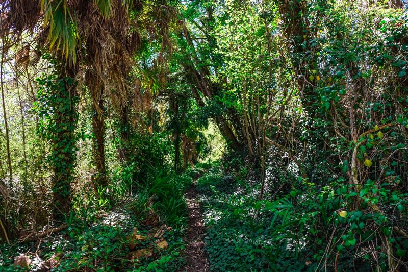 Gan - Boucle de Tolou Acot