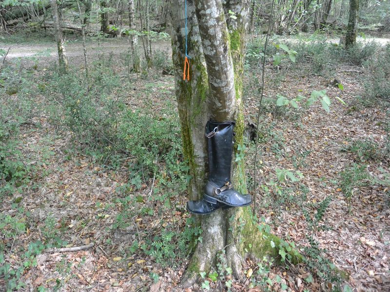 Sentier du Petit Poucet à Beaupouyet