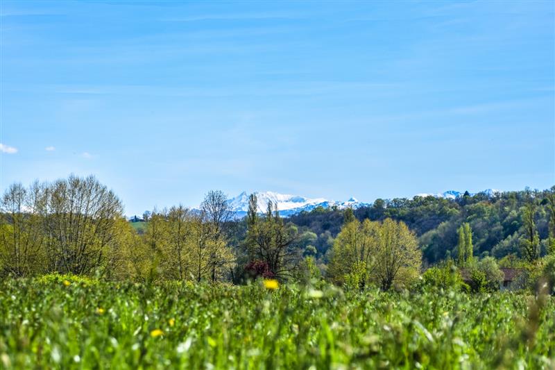 Mazères-Lezons - Des Coteaux à la Saligue