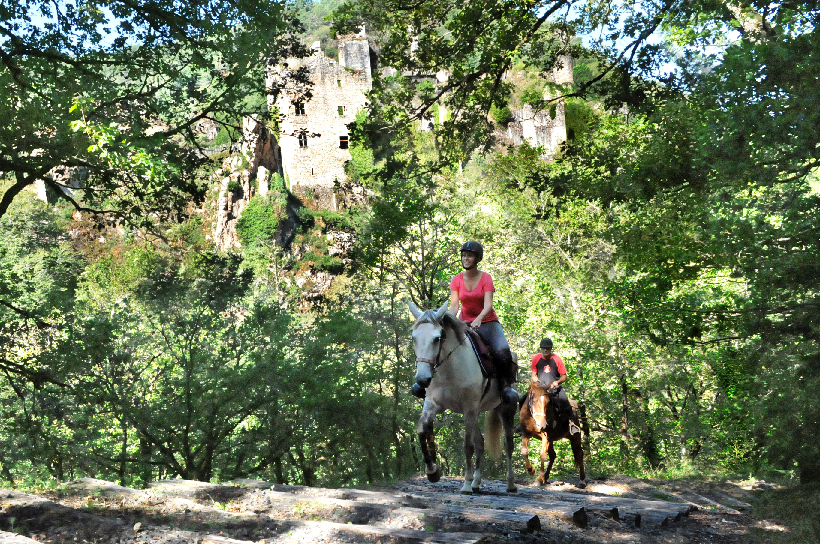 Boucle équestre en Corrèze Xaintrie et Haute vallée de la Dordogne, Monceaux-sur-Dordogne - photo 15