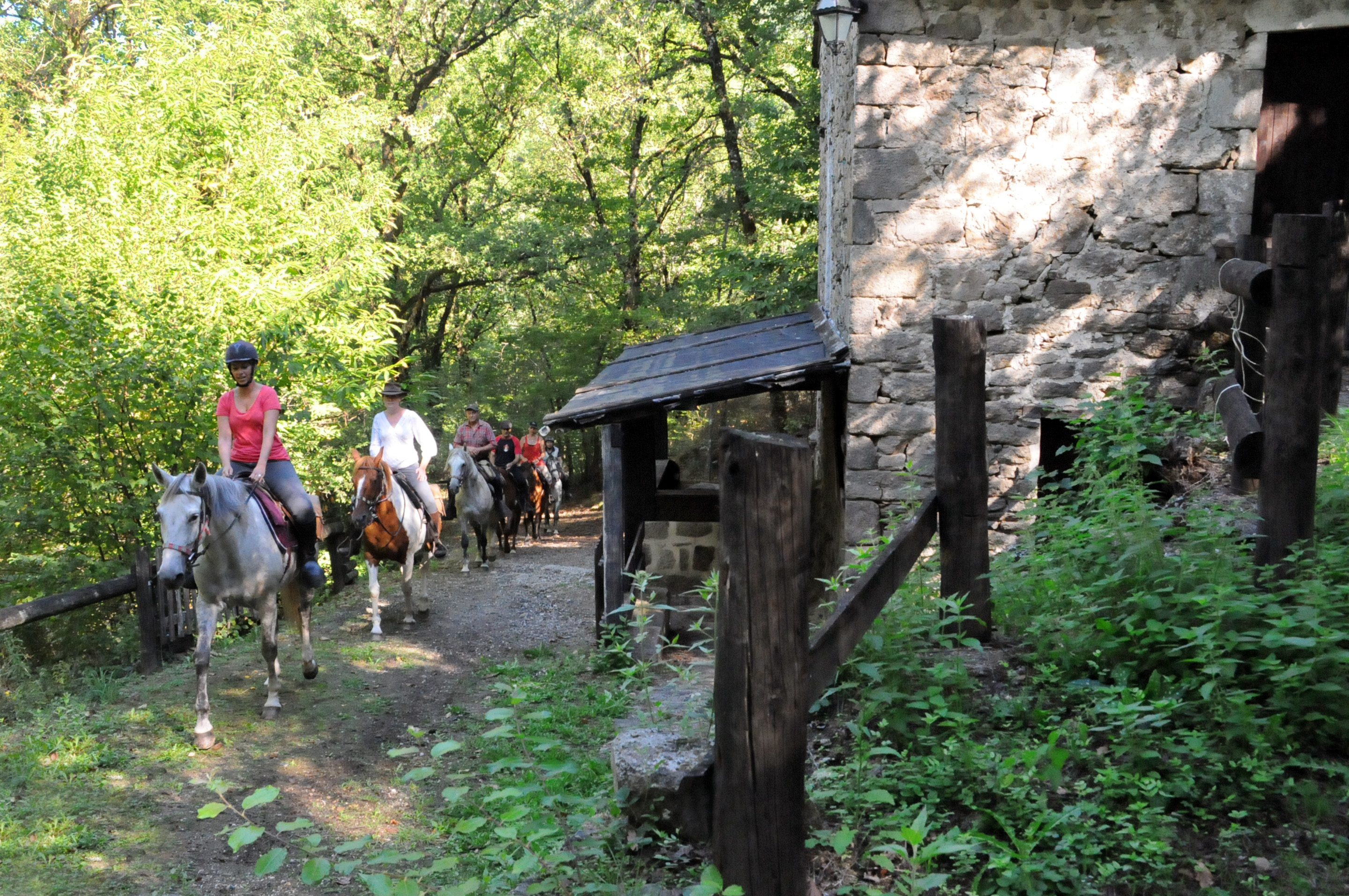 Boucle équestre en Corrèze Xaintrie et Haute vallée de la Dordogne, Monceaux-sur-Dordogne - photo 5