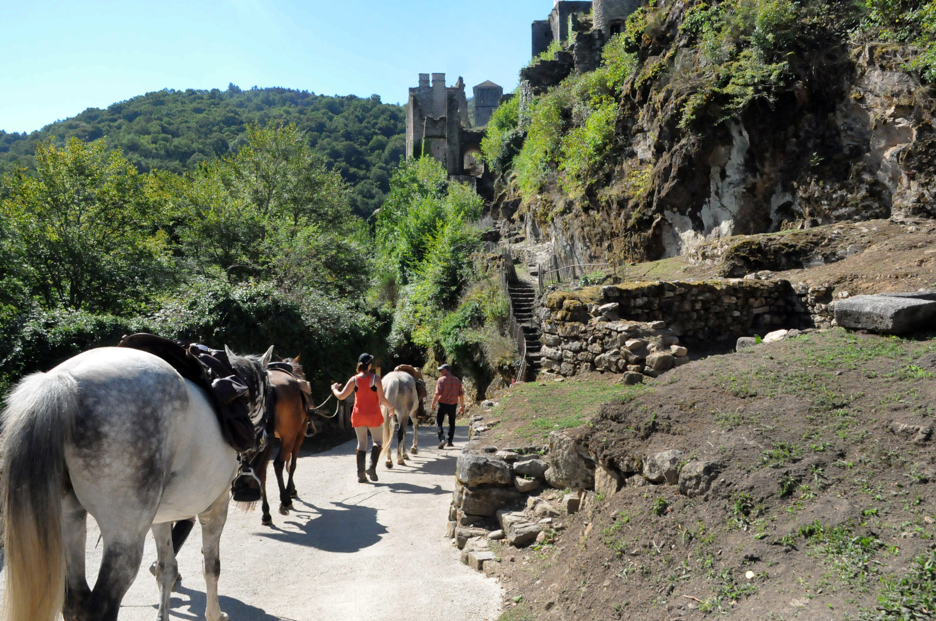 Boucle équestre en Corrèze Xaintrie et Haute vallée de la Dordogne, Monceaux-sur-Dordogne - photo 18