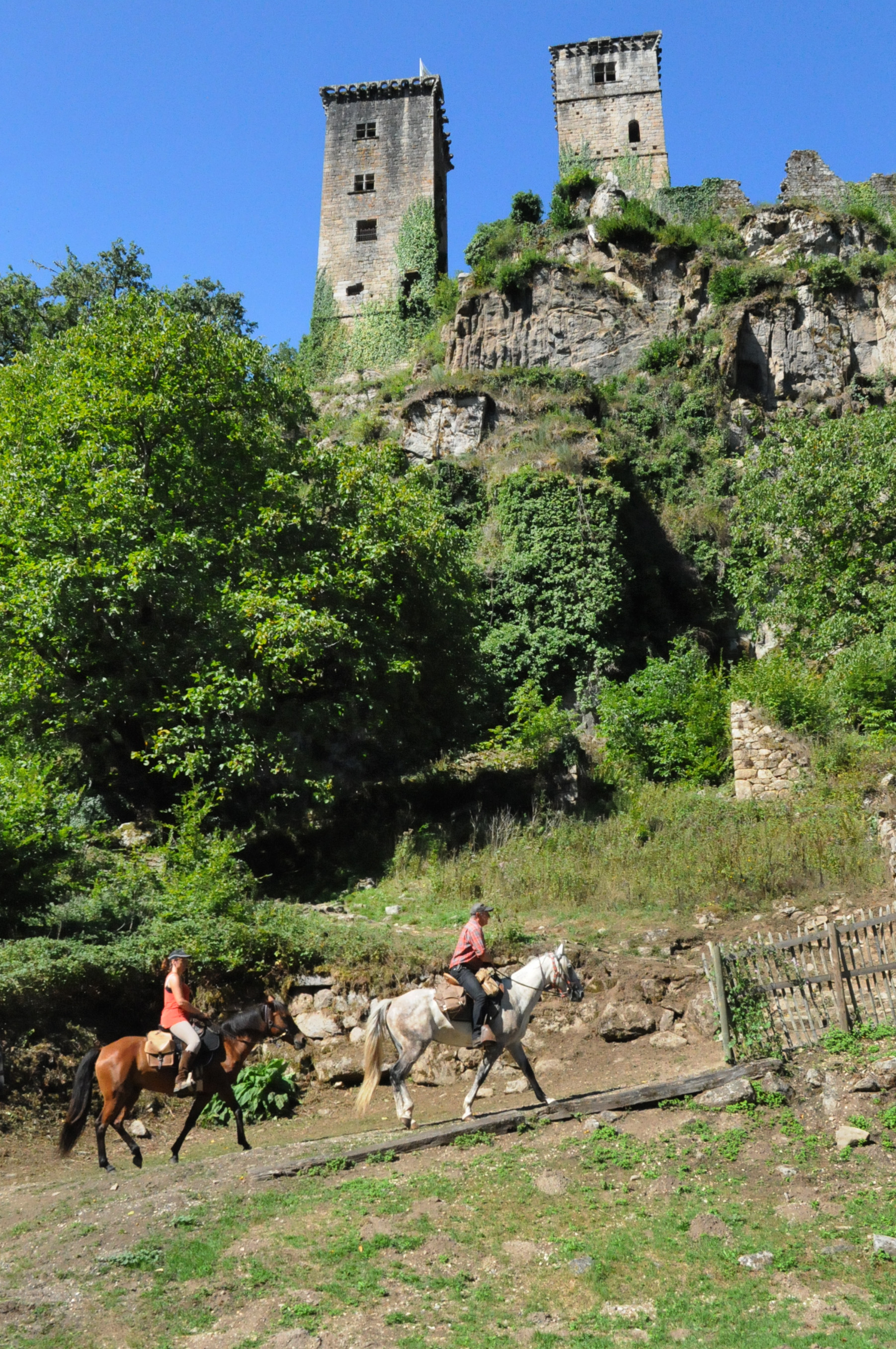 Boucle équestre en Corrèze Xaintrie et Haute vallée de la Dordogne, Monceaux-sur-Dordogne - photo 12