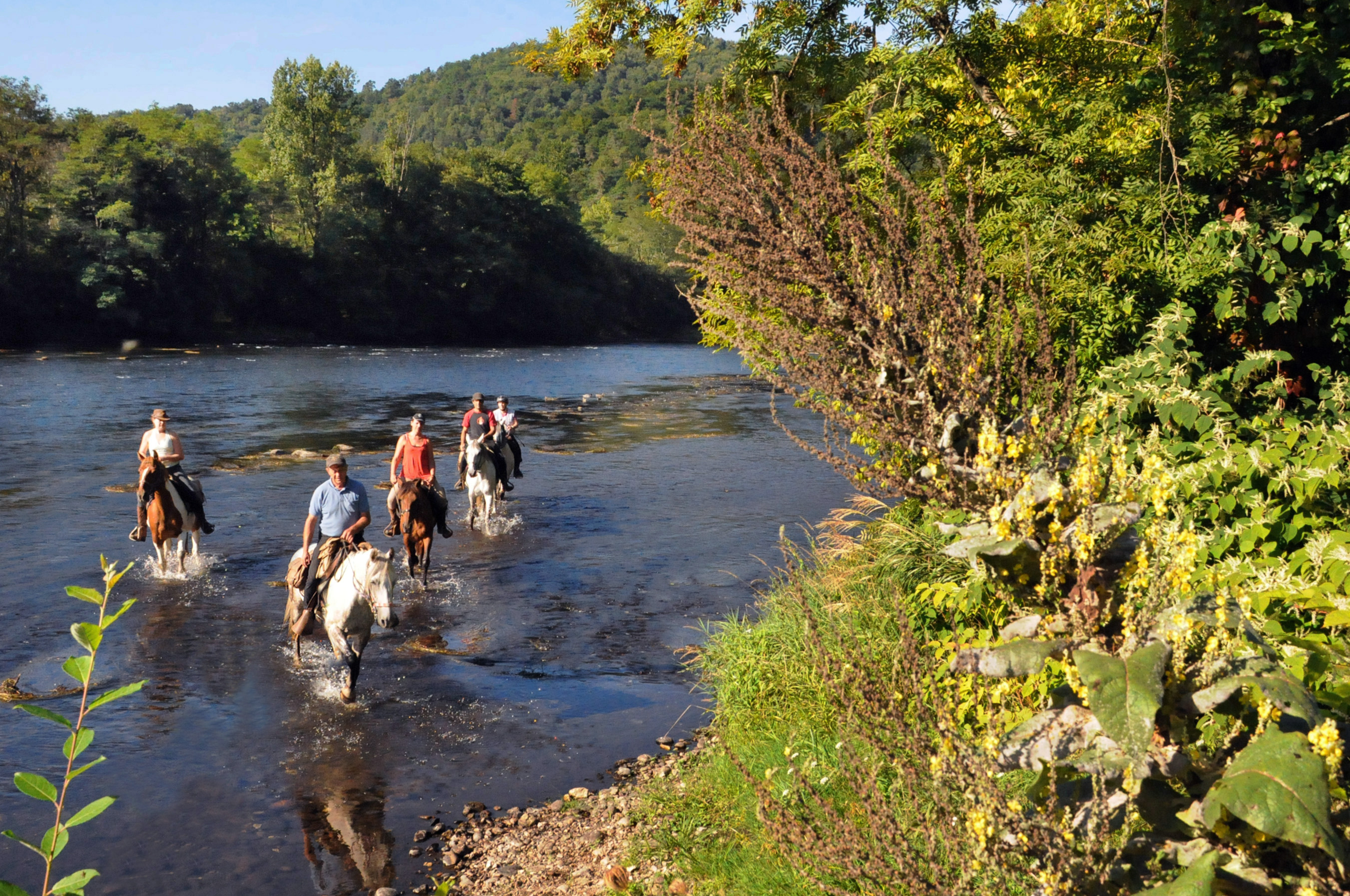 Boucle équestre en Corrèze Xaintrie et Haute vallée de la Dordogne, Monceaux-sur-Dordogne