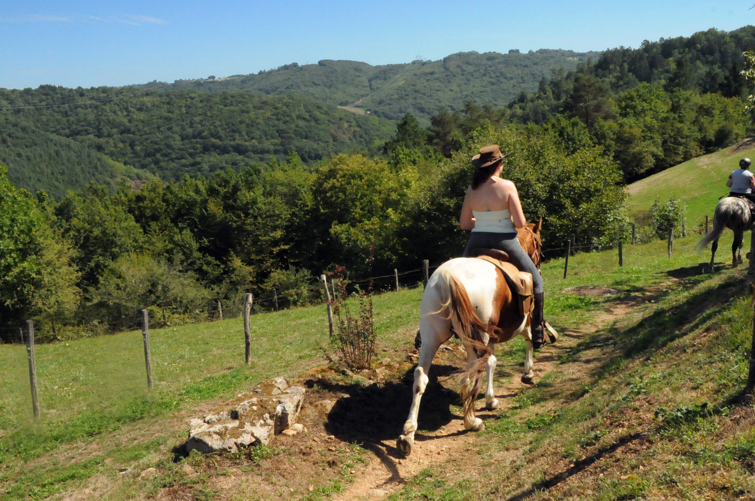 Boucle équestre en Corrèze Xaintrie et Haute vallée de la Dordogne, Monceaux-sur-Dordogne - photo 6