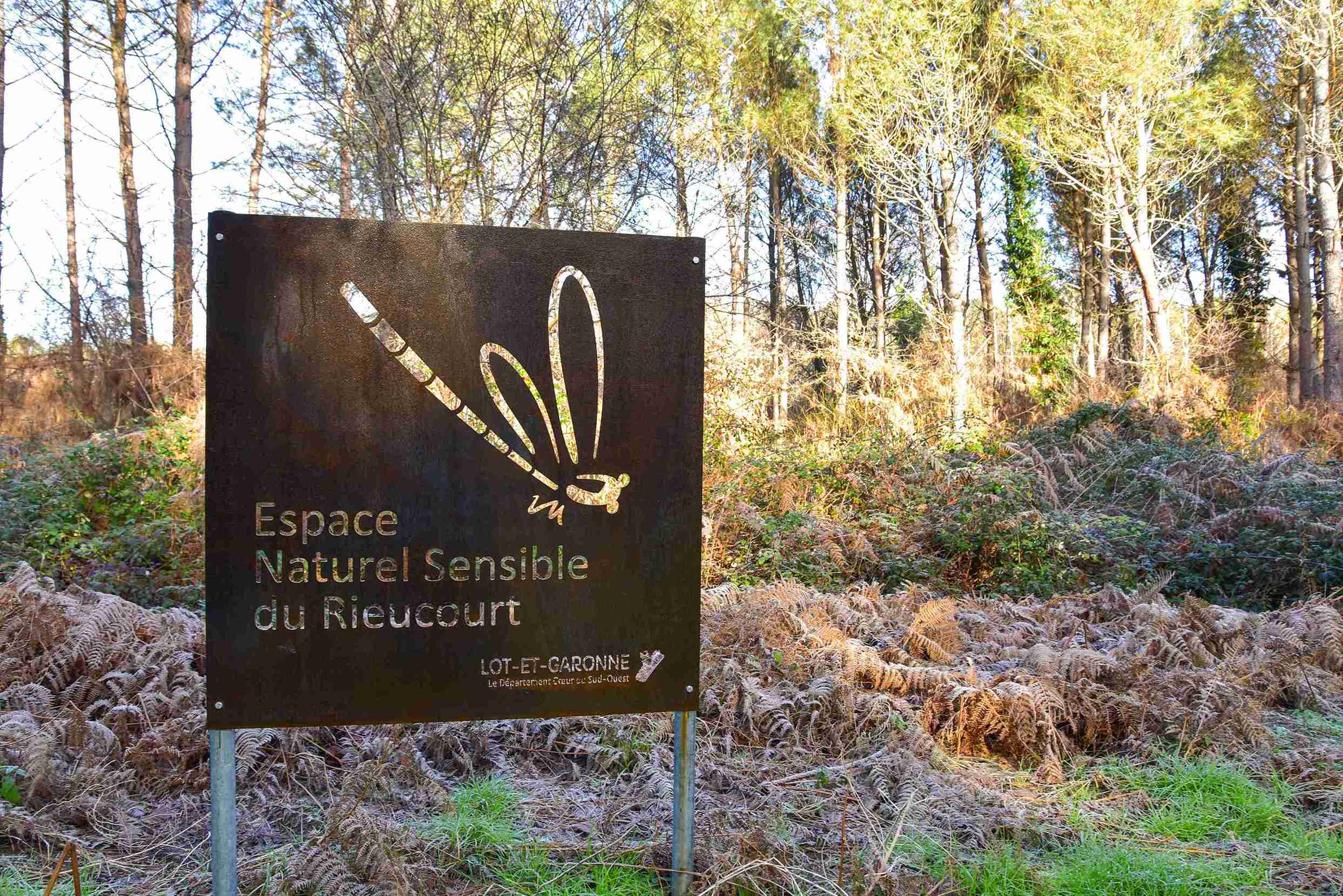 Balade naturaliste — visuel événement