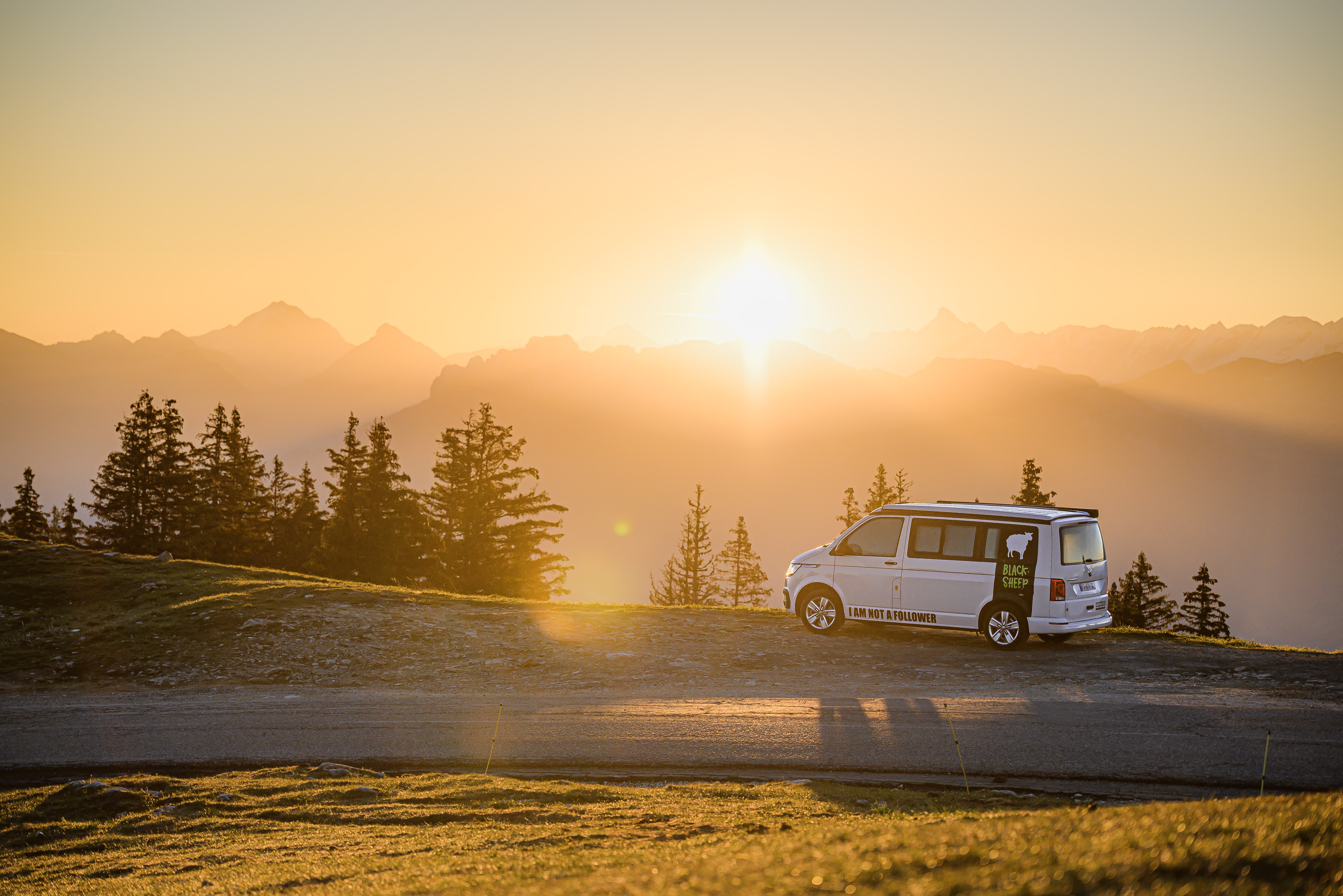 Blacksheep Van - photo 3