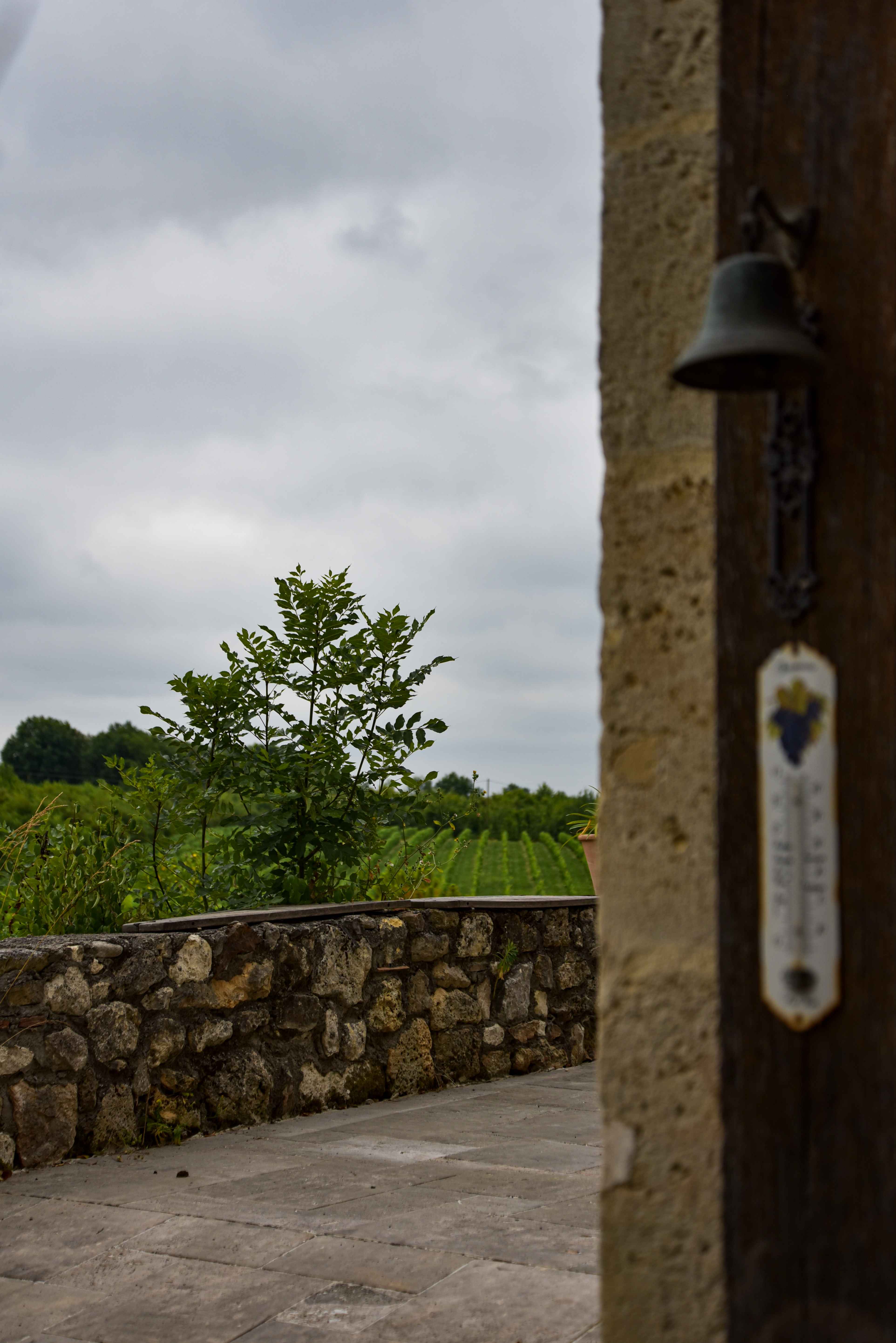 Domaine Chêne Lassolle - photo 3
