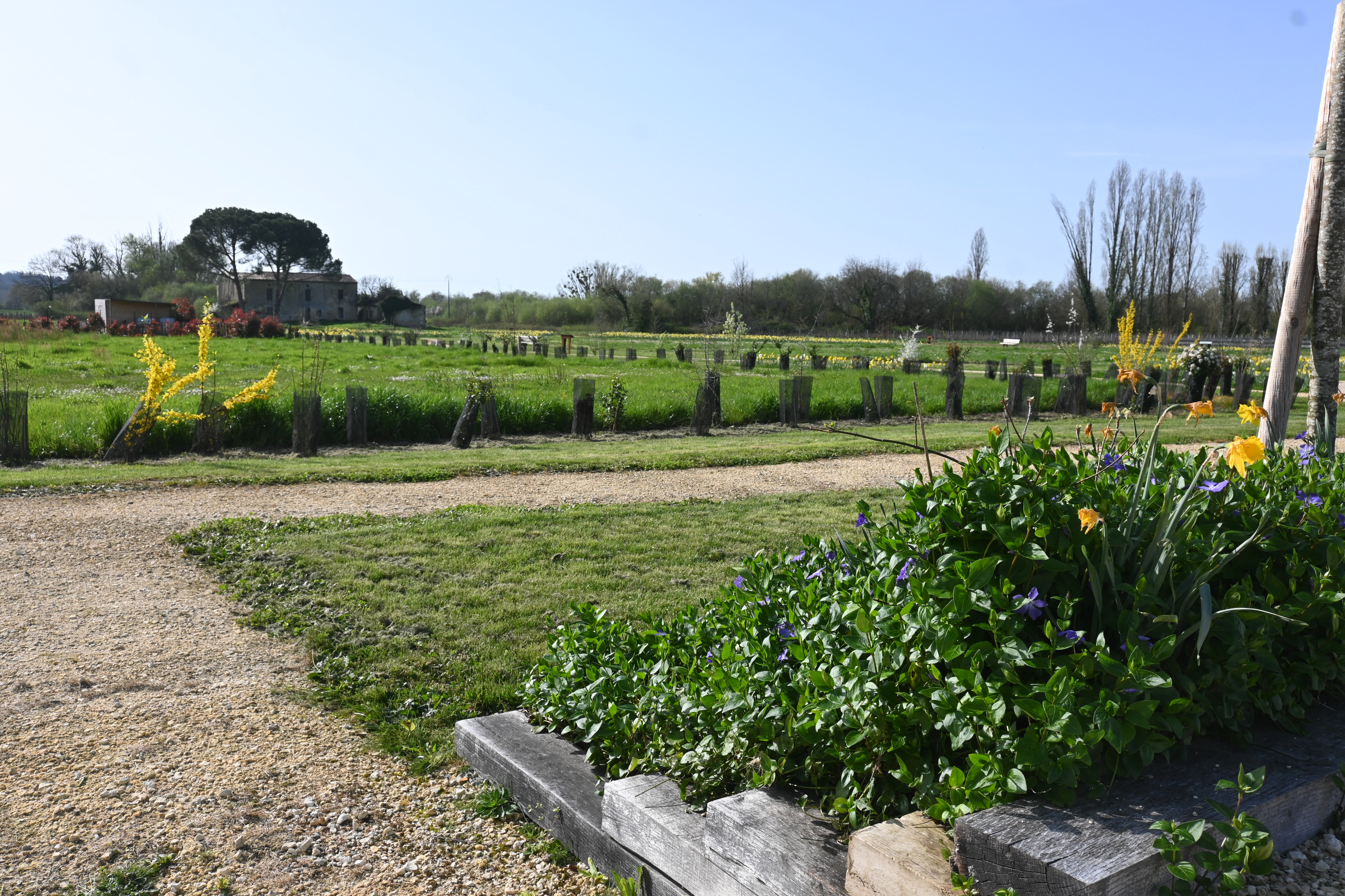 Arboretum de Sainte-Florence