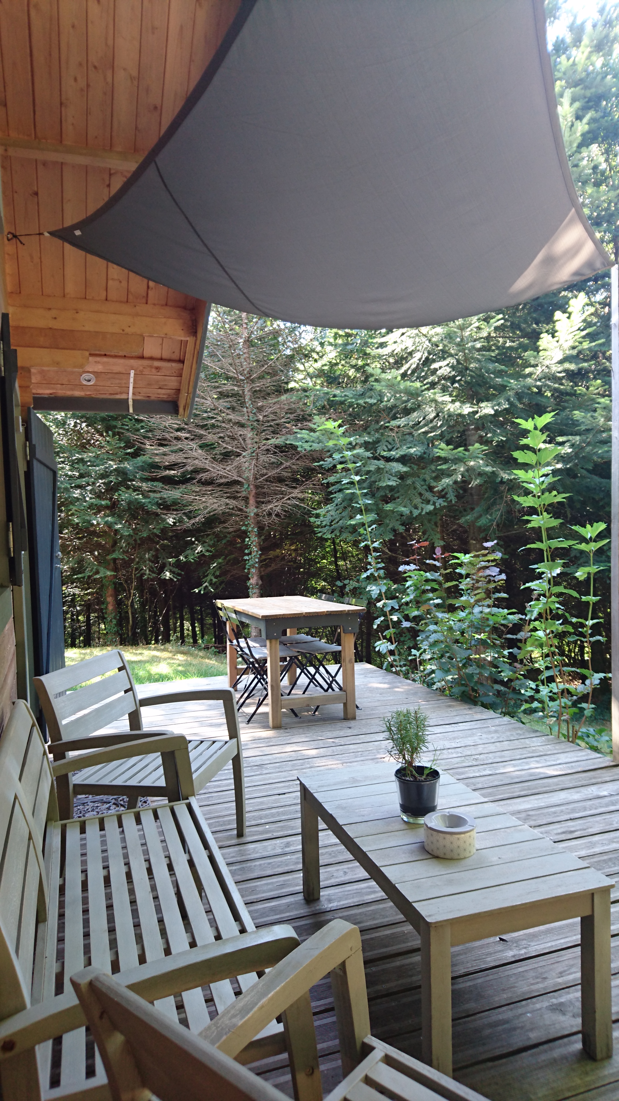 La petite maison de la sapinière - photo 5