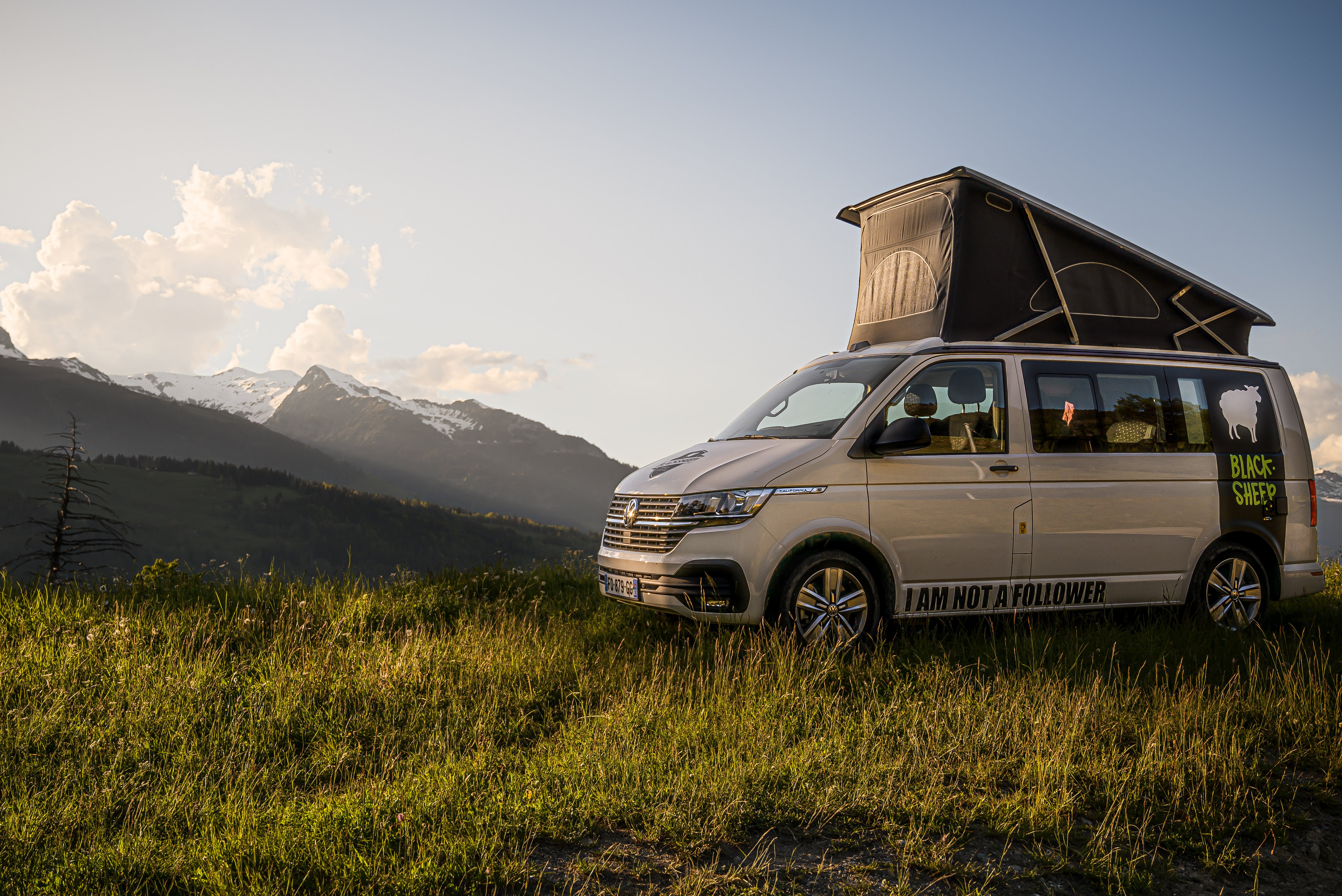 Blacksheep Van
