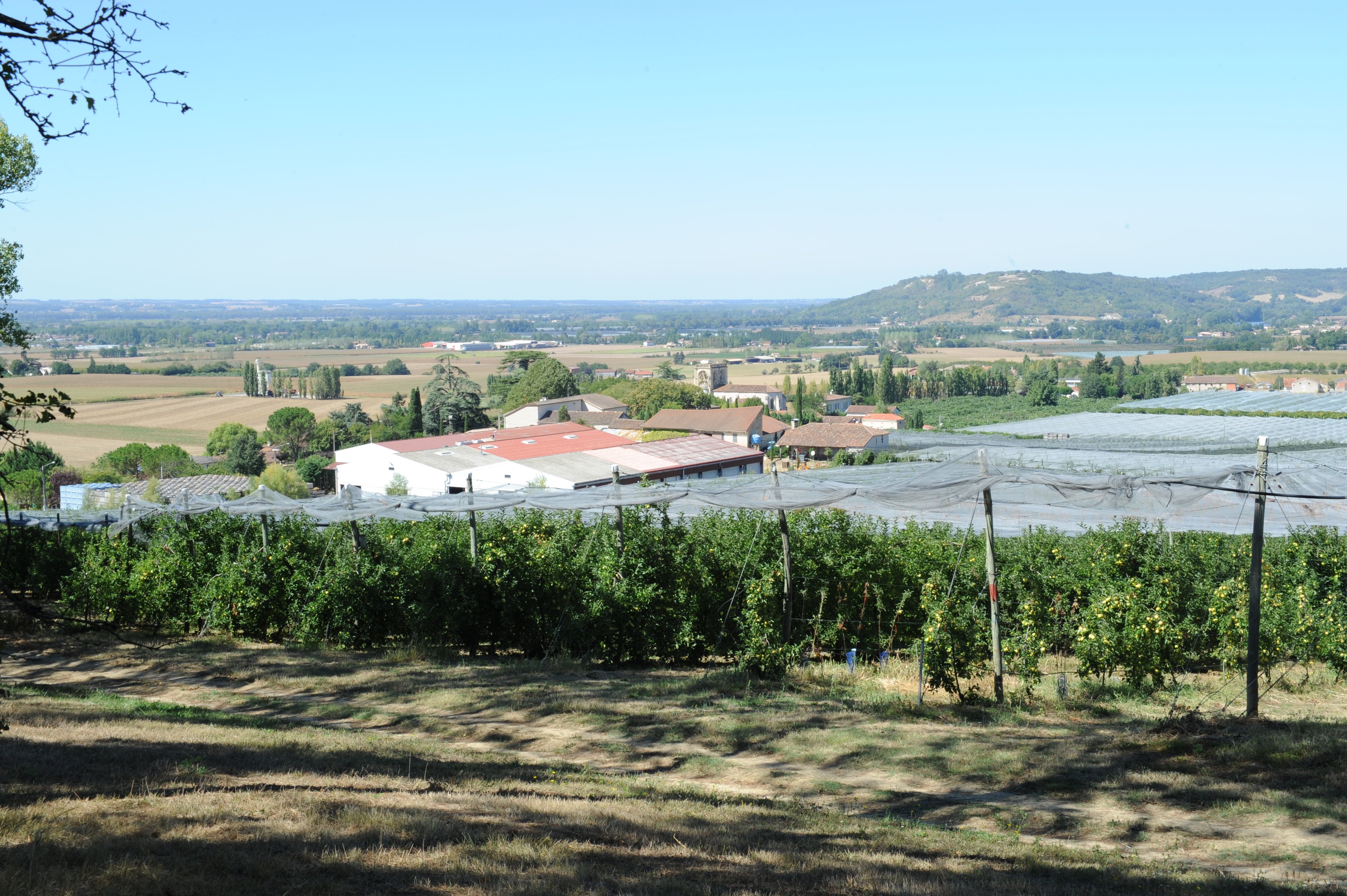 EARL Domaine du Barry