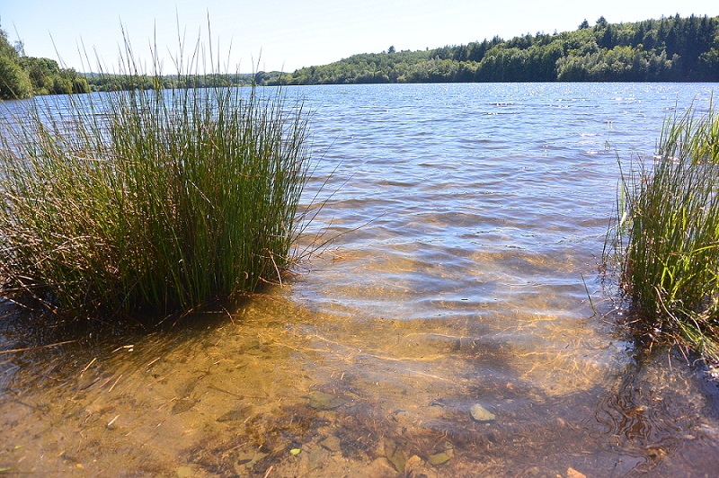 Miallet en écomobilité - Un bol de nature à l'étang de Miallet, La Coquille
